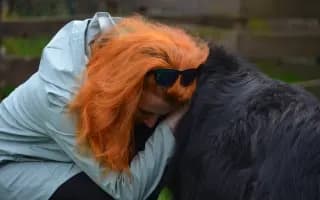 Pomohli jste s krmivem pro opuštěná zvířátka
